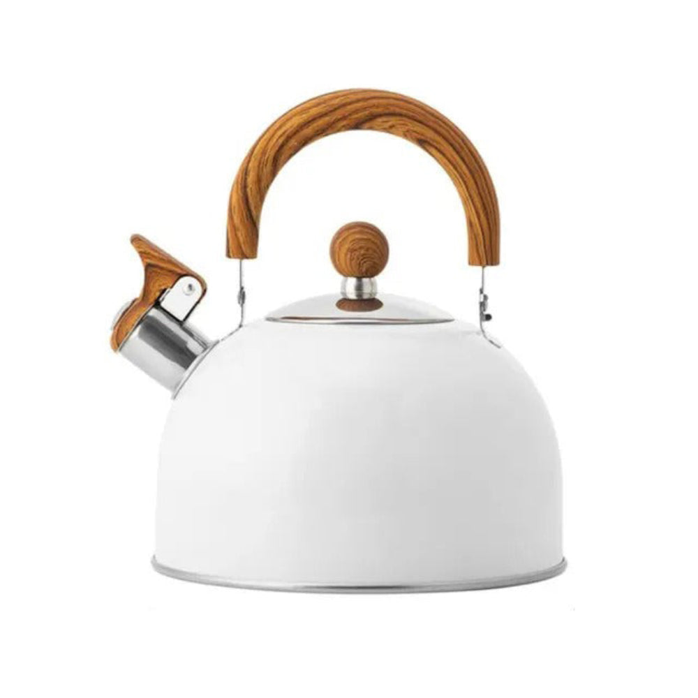 Fast Boiling Kettle in Modern Circular Design