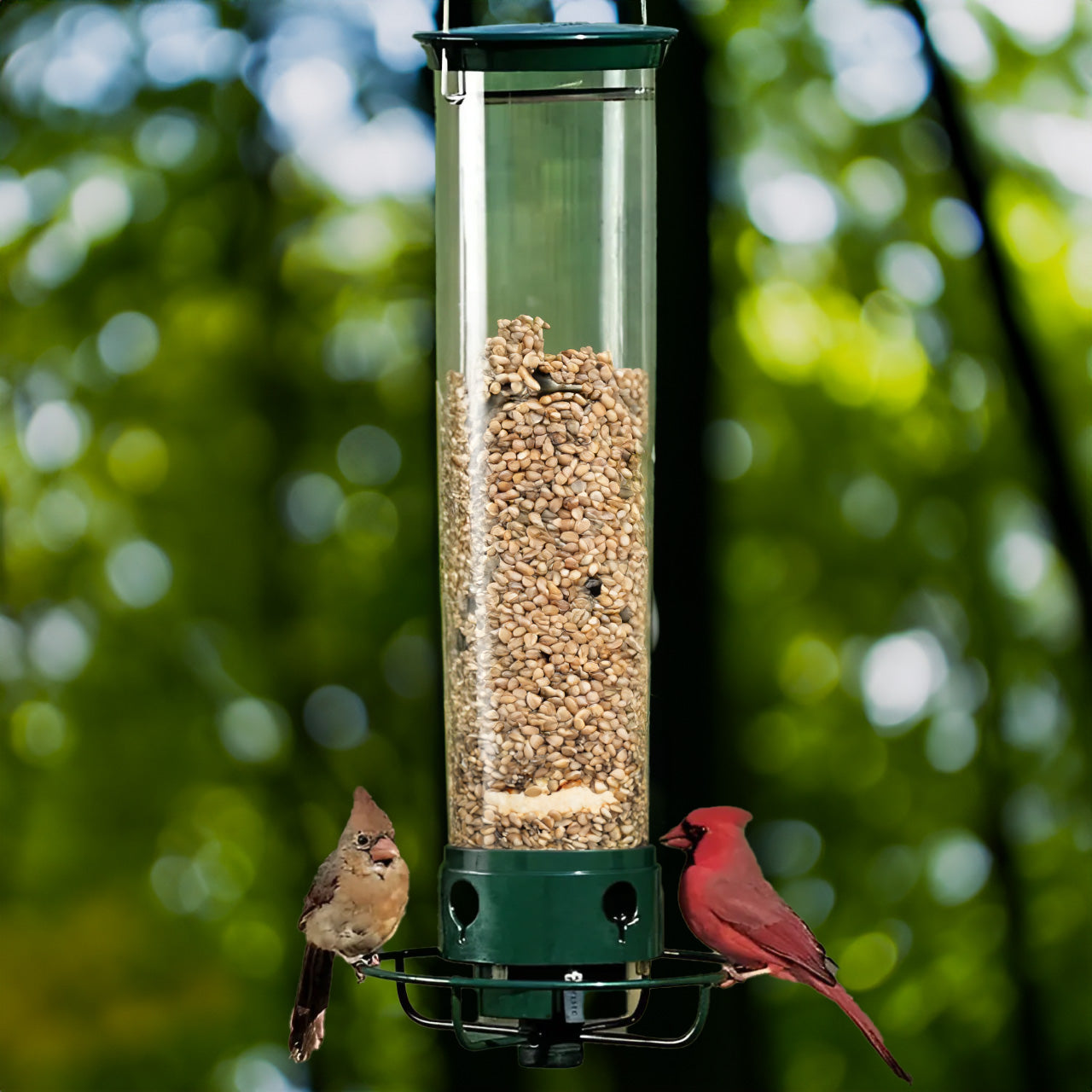 Rugged Bird Feeder with Rotating Tray - Korstal