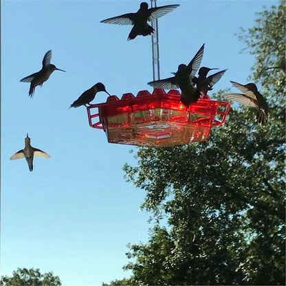 Simple Fill Pest Proof Bird Feeder Outdoor Hanging - Korstal