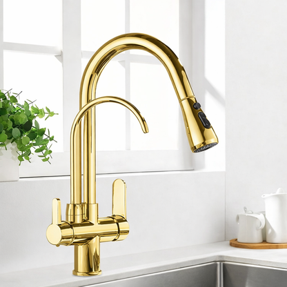 Kitchen Faucet with Filtered Water System