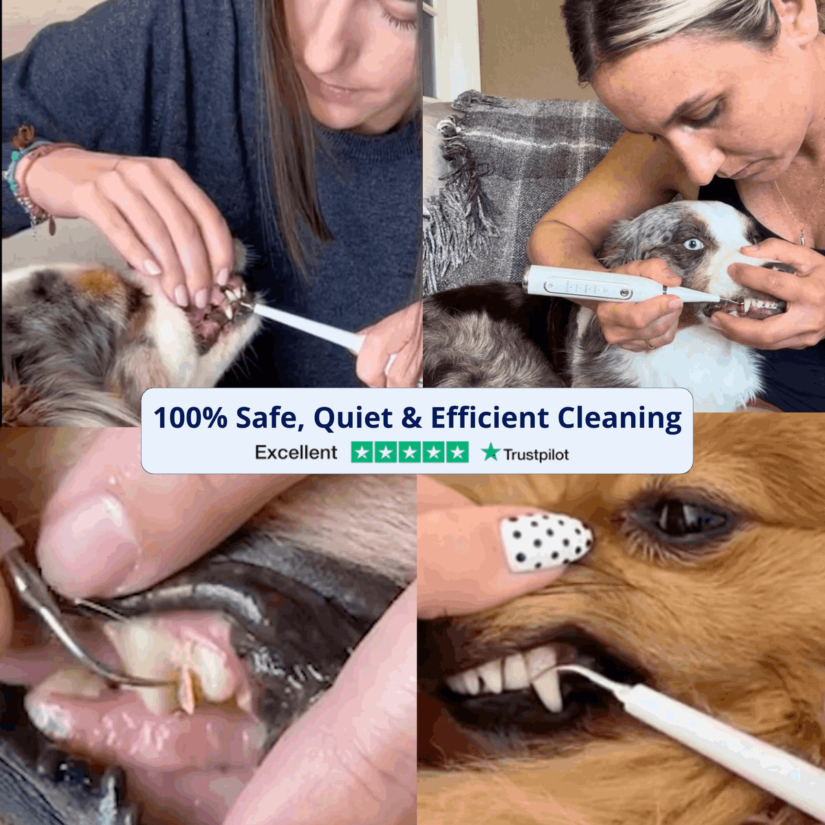 Ultrasonic Pet Tartar Remover