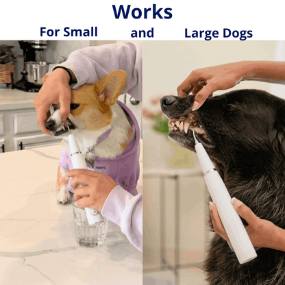 Ultrasonic Pet Tartar Remover