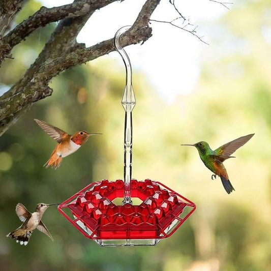 Simple Fill Hanging Bird Feeder with Ant Moat - Korstal