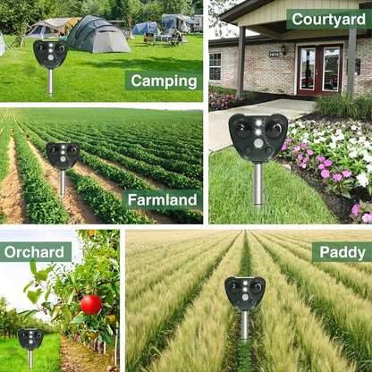 Weatherproof Bird Deterrent System for Garden Defense