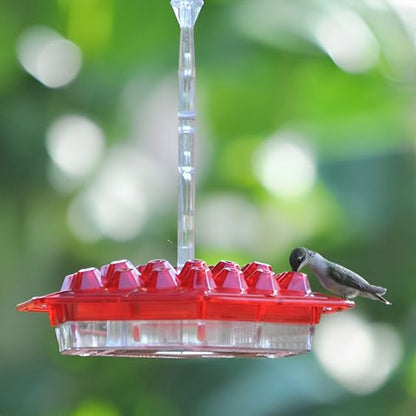 Simple Fill Pest Proof Bird Feeder Outdoor Hanging