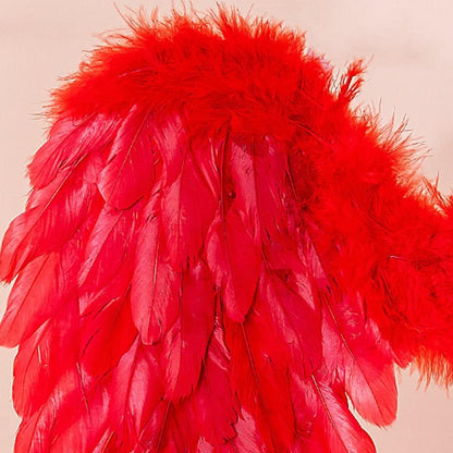 Luxury Angel Wings for Ladies Party Outfit