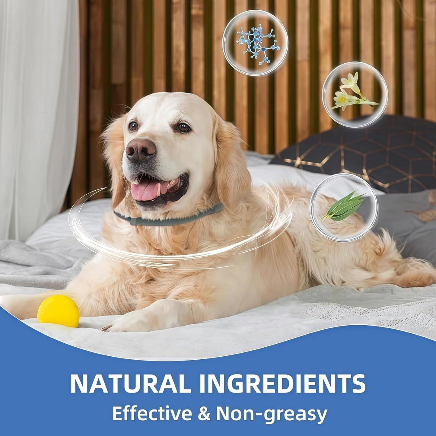 Reliable Flea and Tick Prevention Collar for Dogs