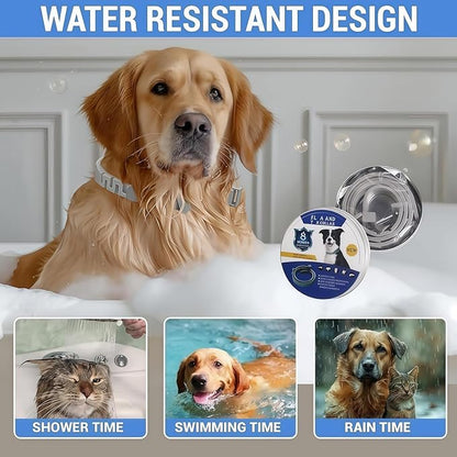 Reliable Flea and Tick Prevention Collar for Dogs