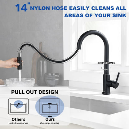 Simple Mount Kitchen Faucet with Flexible Spray Head