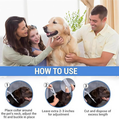 Reliable Flea and Tick Prevention Collar for Dogs