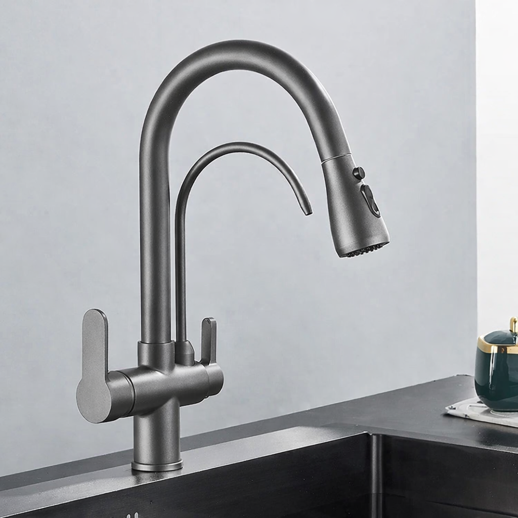 Kitchen Faucet with Filtered Water System