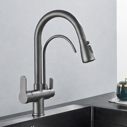 Kitchen Faucet with Filtered Water System