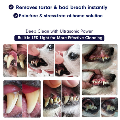 Ultrasonic Pet Tartar Remover