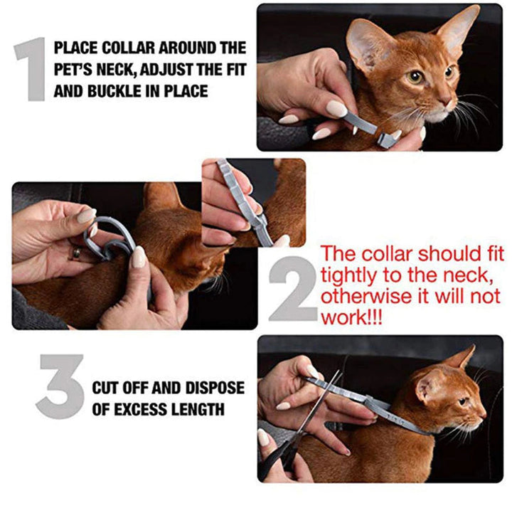Reliable Flea and Tick Prevention Collar for Dogs