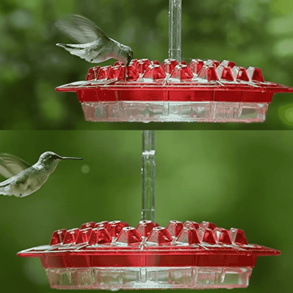 Simple Fill Pest Proof Bird Feeder Outdoor Hanging