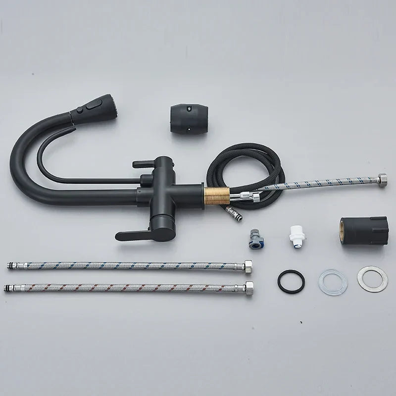 Kitchen Faucet with Filtered Water System