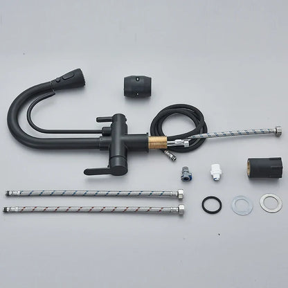 Kitchen Faucet with Filtered Water System