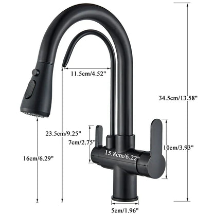 Kitchen Faucet with Filtered Water System