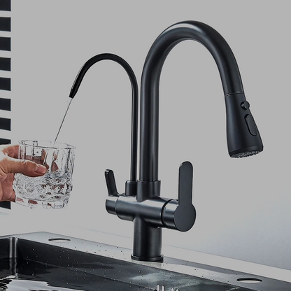 Kitchen Faucet with Filtered Water System