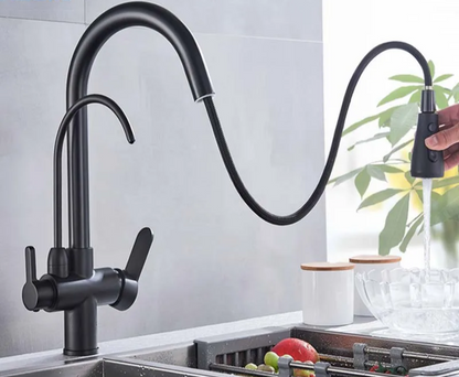 Kitchen Faucet with Filtered Water System