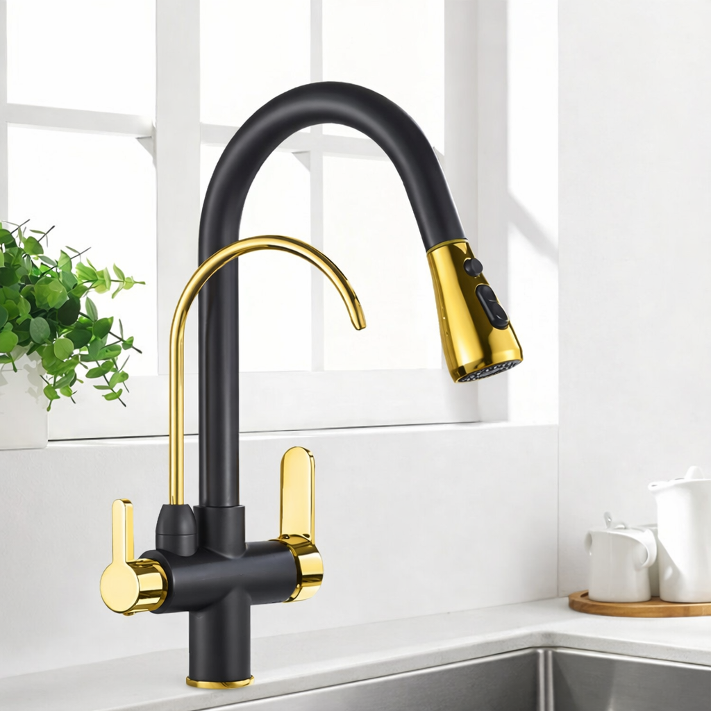 Kitchen Faucet with Filtered Water System