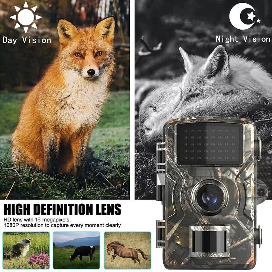 Automatic Night Vision Animal Surveillance Camera Outside