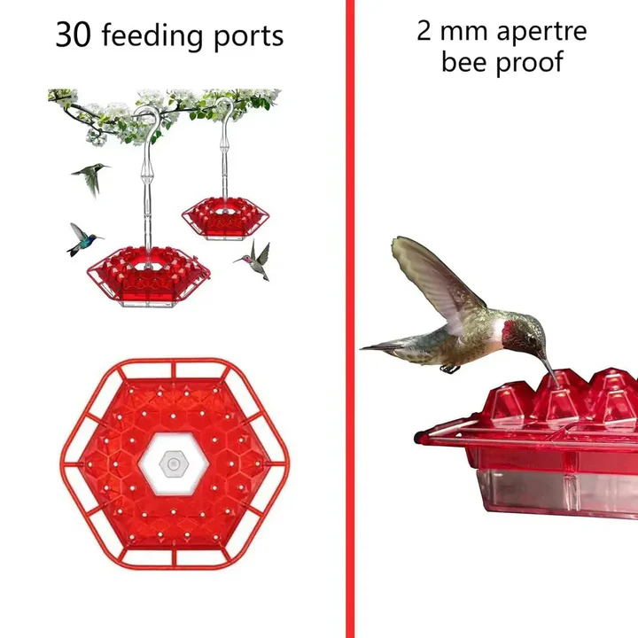 Simple Fill Hanging Bird Feeder with Ant Moat