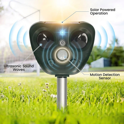 Weatherproof Bird Deterrent System for Garden Defense