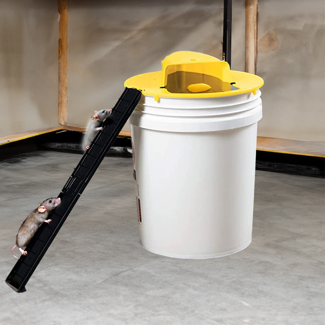 Practical Reusable Rodent Trap Catcher and Controller - Korstal