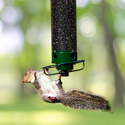 Durable Outdoor Bird Feeder with Multiple Feeding Stations - Korstal