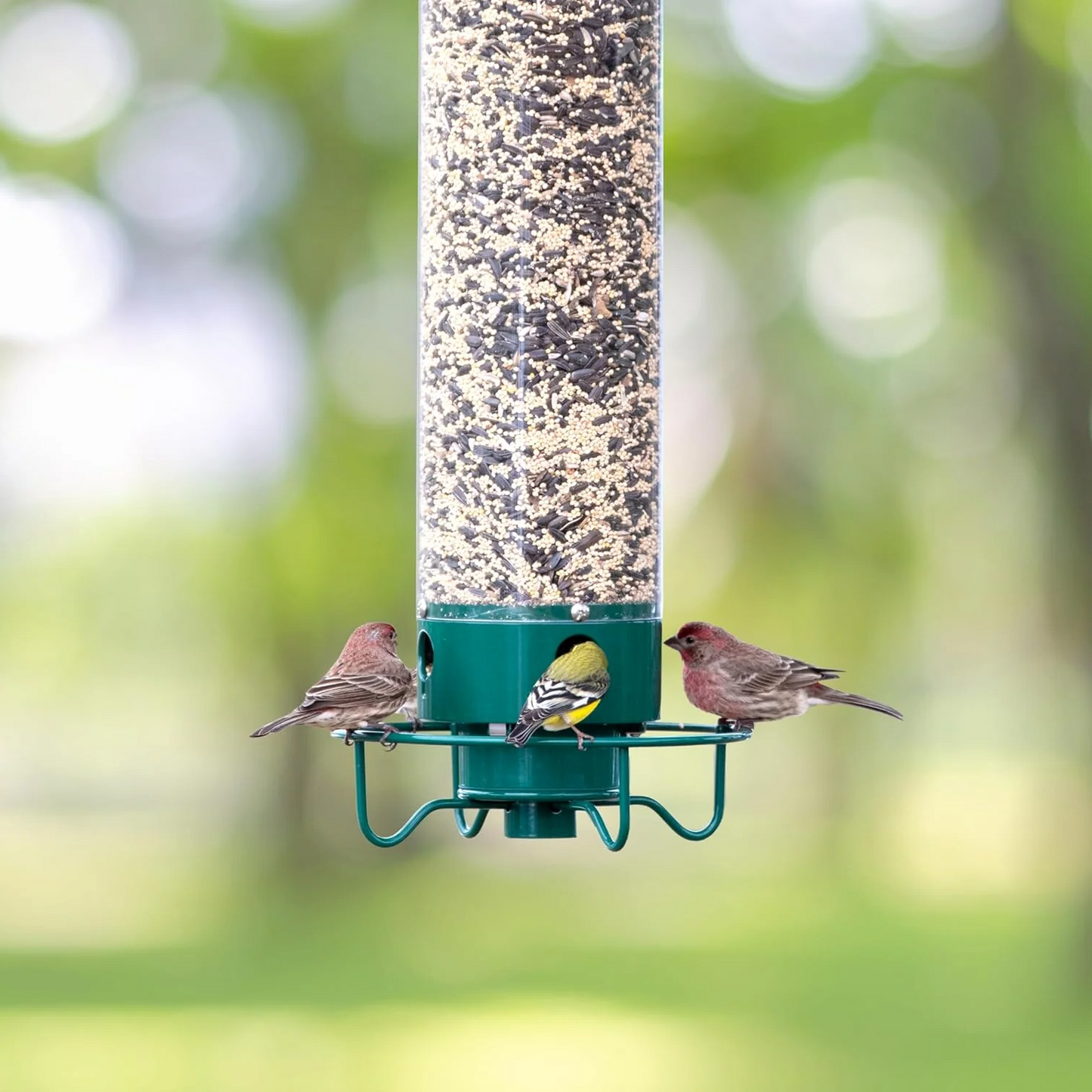 Durable Outdoor Bird Feeder with Multiple Feeding Stations