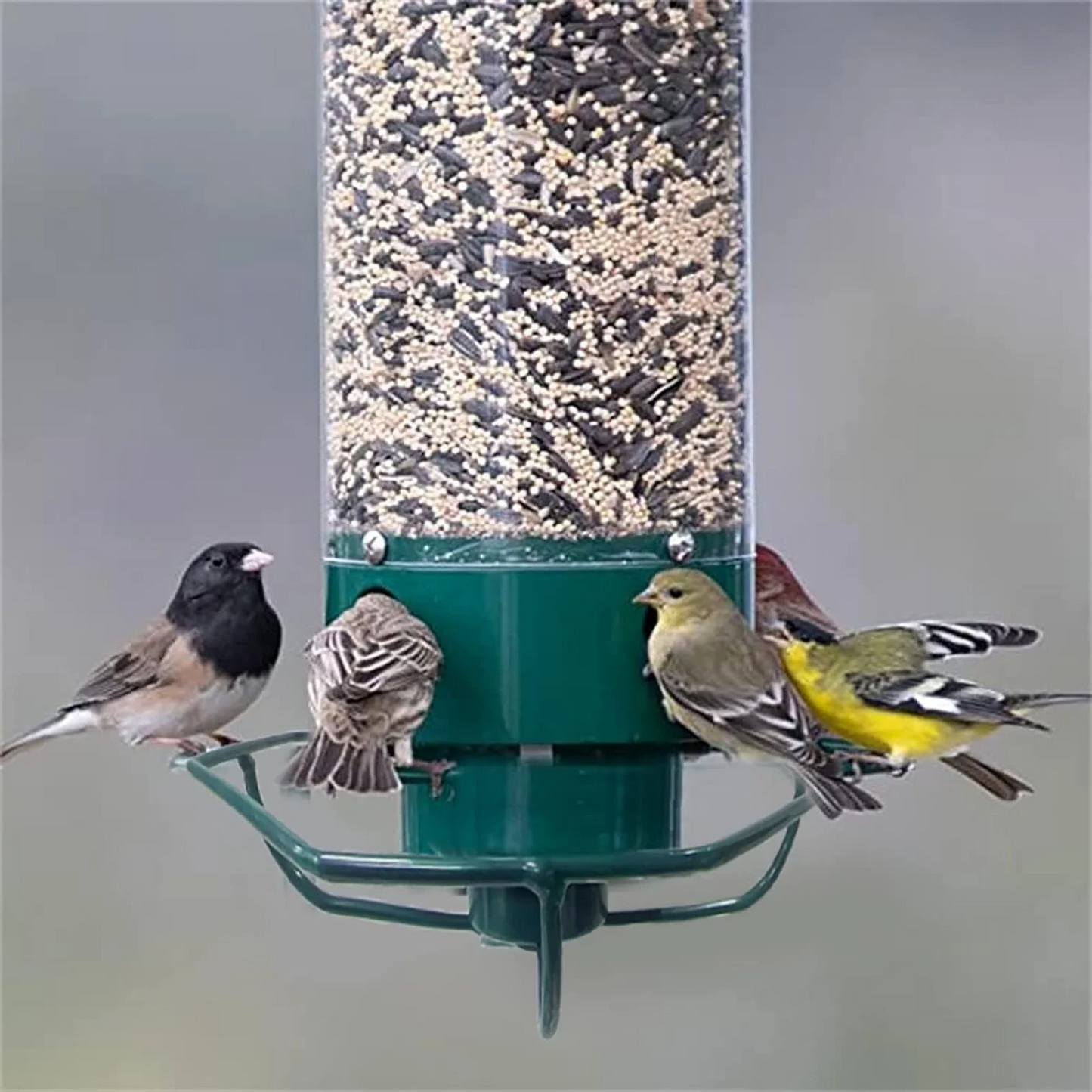 Durable Outdoor Bird Feeder with Multiple Feeding Stations