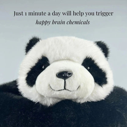 Pookie the Panda Weighted Animal