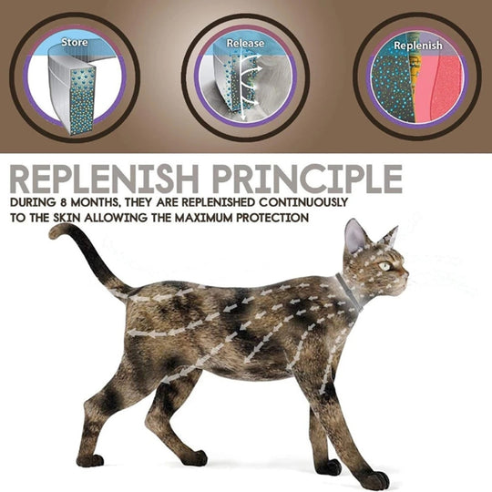 Reliable Flea and Tick Prevention Collar for Dogs