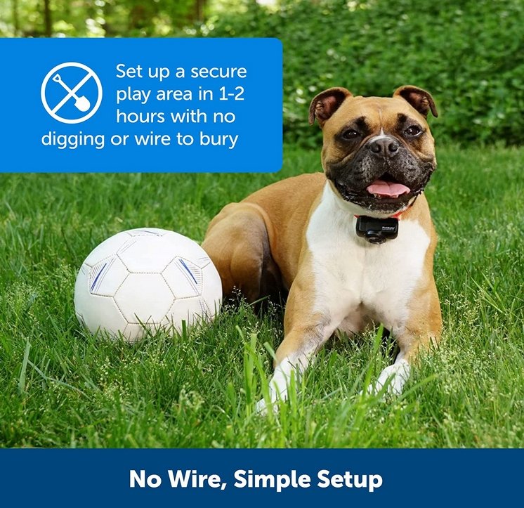 Simple Pet Control Adjustable Fence Collar System