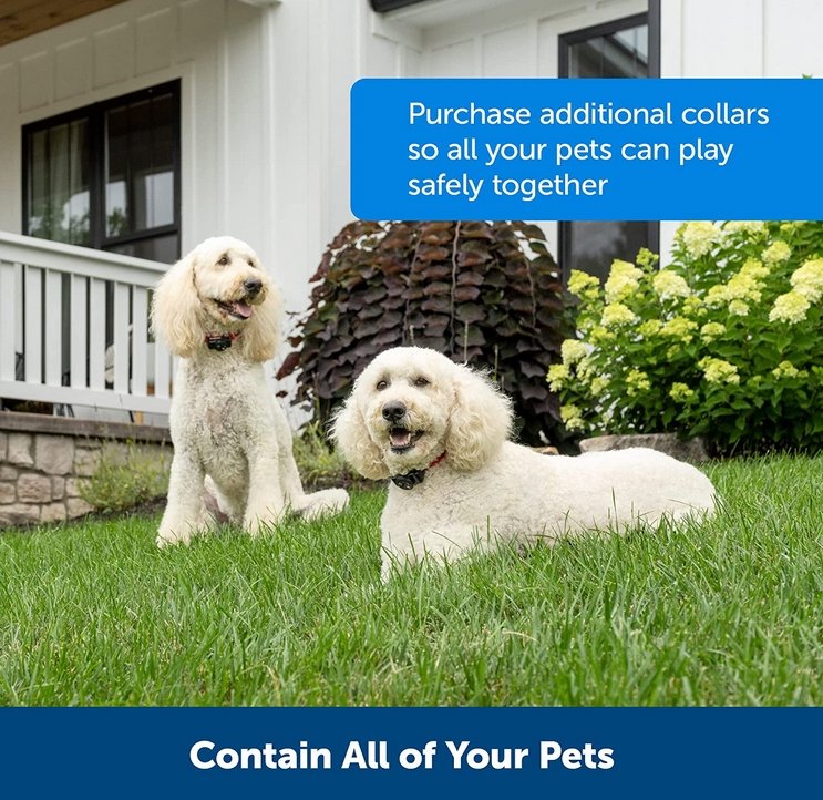 Simple Pet Control Adjustable Fence Collar System